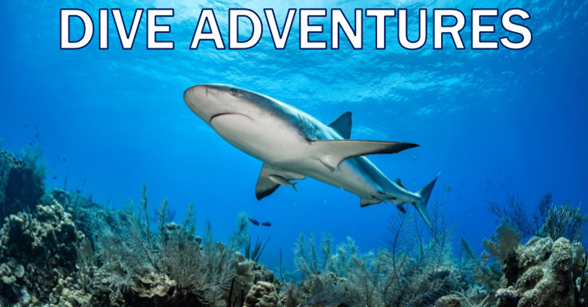 Overseas dive trips and events