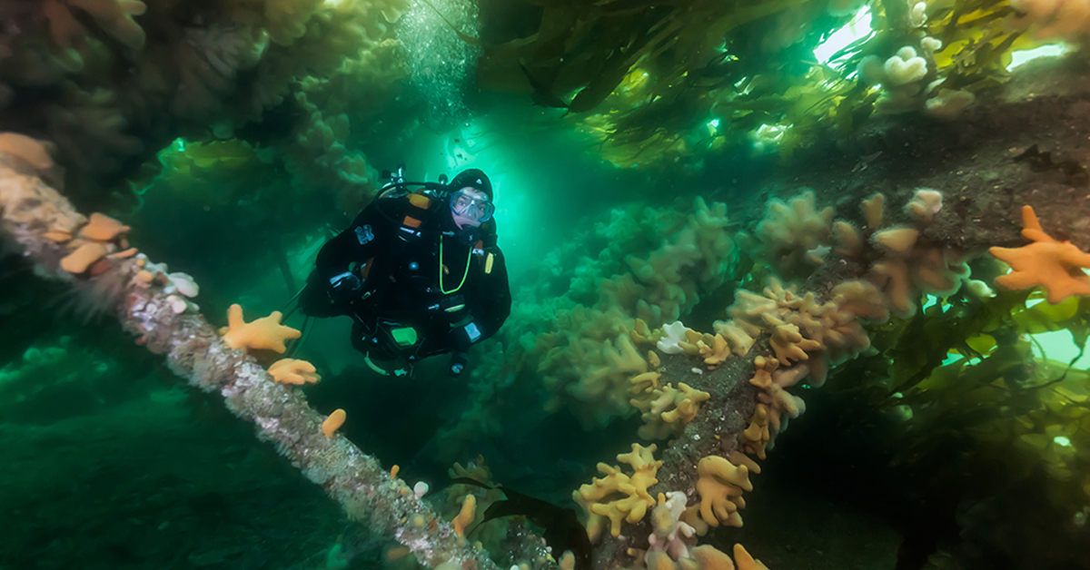 UK Dive Trips and Events